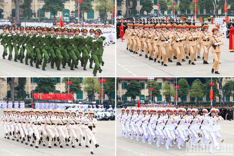 Desfile de las fuerzas. Desfile de las fuerzas.
