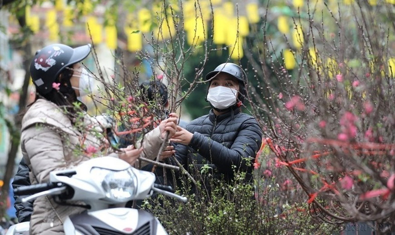 La gente compra en el mercado de flores Hang Luoc (Hanói) en el Año Nuevo Lunar. La gente compra en el mercado de flores Hang Luoc (Hanói) en el Año Nuevo Lunar.