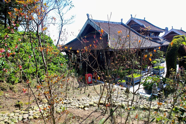El jardín de las flores de durazno con forma de campana en Ba Na en los primeros días de 2023
