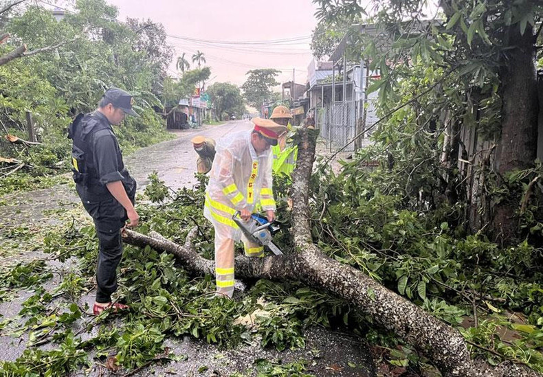 Labor de superación de daños de la tormenta en Quang Ngai. (Fotografía: Nhan Dan)
