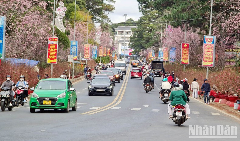 Da Lat se denomina ciudad de la eterna primavera en Vietnam gracias a su exuberante vegetación.