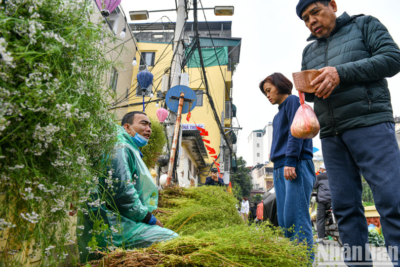 Las hojas de “mui gia”, que los vietnamitas suelen hervir con agua para bañarse. Dicen que la costumbre ayuda a disipar la mala suerte.