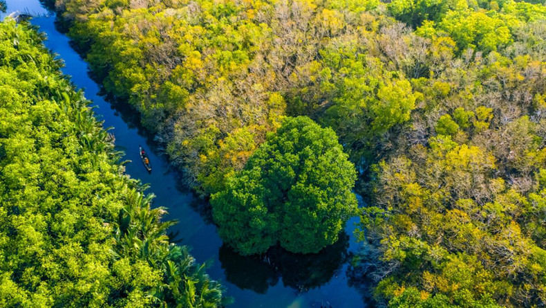 Alrededores de Ru Cha y otras áreas del ecosistema de Tam Giang-Cau Hai, la gente se gana el pan pescando y practicando la acuicultura.