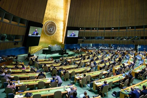 Durante el mandato como miembro del CDH de la ONU, Vietnam participó en cientos de reuniones, así como en la elaboración y negociación de las resoluciones y decisiones del organismo. (Fotografía: VNA) Durante el mandato como miembro del CDH de la ONU, Vietnam participó en cientos de reuniones, así como en la elaboración y negociación de las resoluciones y decisiones del organismo. (Fotografía: VNA)