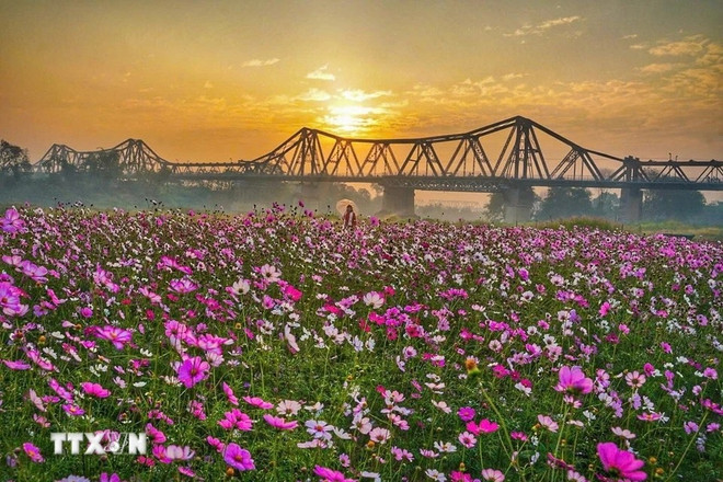 La belleza del puente de Long Bien al amanecer. La belleza del puente de Long Bien al amanecer.