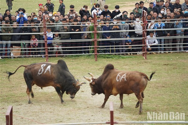Posicionándose para atacar. Posicionándose para atacar.