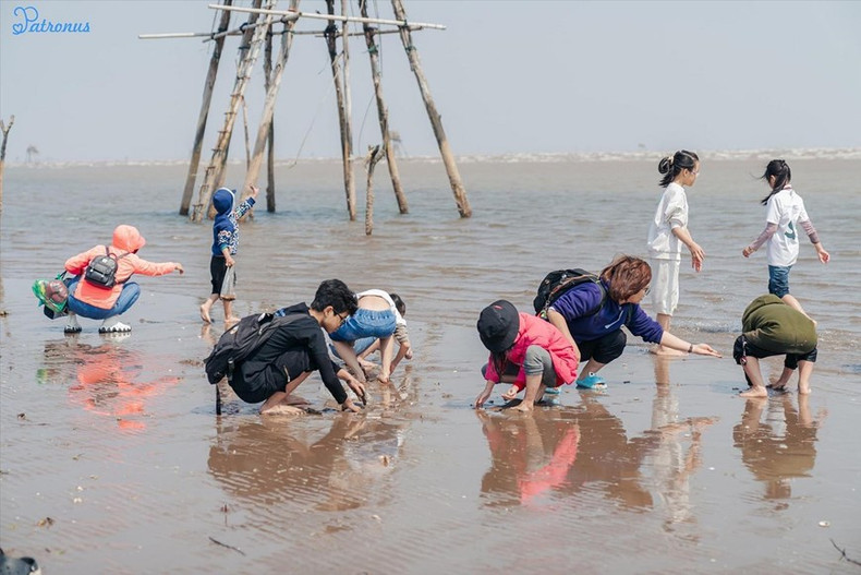 Recolección de almejas en Con Den. Recolección de almejas en Con Den.