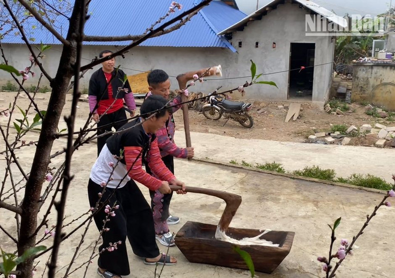 Estos compatriotas dedican el 30 de diciembre lunar a elaborar el “banh day” (pastel redondo de arroz glutinoso) utilizando arroz cultivado por ellos mismos. Desde la cocción al vapor del ingrediente y macerarlo hasta conseguir la masa apropiada para moldear se realiza a mano, dando como resultado pastelitos de un blanco inmaculado. El plato sabe mejor con melaza de caña de azúcar también casera. Estos compatriotas dedican el 30 de diciembre lunar a elaborar el “banh day” (pastel redondo de arroz glutinoso) utilizando arroz cultivado por ellos mismos. Desde la cocción al vapor del ingrediente y macerarlo hasta conseguir la masa apropiada para moldear se realiza a mano, dando como resultado pastelitos de un blanco inmaculado. El plato sabe mejor con melaza de caña de azúcar también casera.