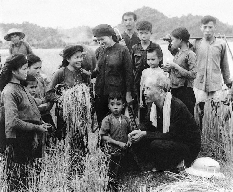 El Tío Ho visitó a agricultores de la cooperativa Hung Son, distrito de Dai Tu, provincia de Thai Nguyen, en la cosecha (1954). El Tío Ho visitó a agricultores de la cooperativa Hung Son, distrito de Dai Tu, provincia de Thai Nguyen, en la cosecha (1954).