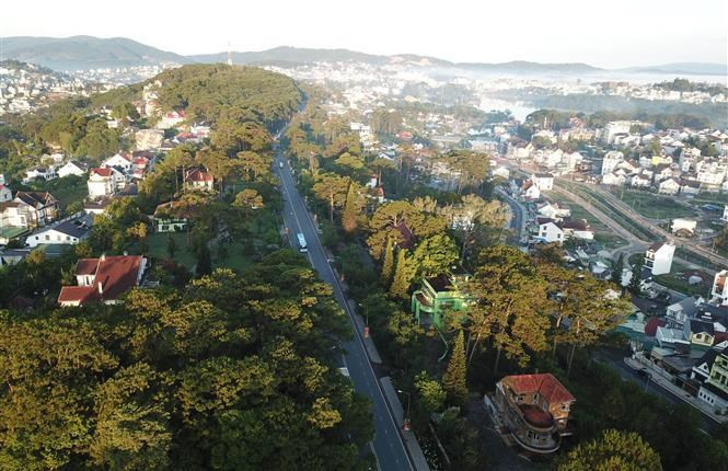Da Lat se encuentra a una altitud de mil 500 metros sobre el nivel del mar y es una famosa ciudad turística de Vietnam con un clima templado y fresco todo el año. Da Lat se encuentra a una altitud de mil 500 metros sobre el nivel del mar y es una famosa ciudad turística de Vietnam con un clima templado y fresco todo el año.
