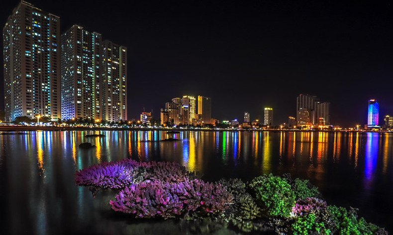 Hermoso bosque de coral en la ciudad costera vietnamita de Nha Trang.