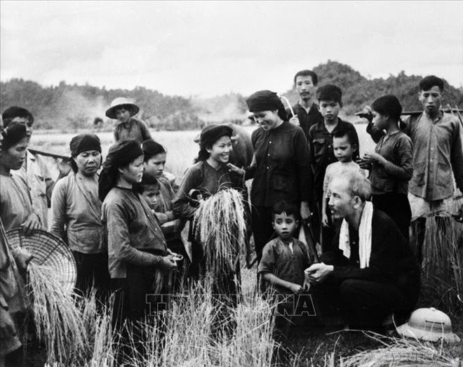 El Presidente Ho Chi Minh visita a los campesinos de la comuna de Hung Son, distrito de Dai Tu (Thai Nguyen), que se encuentran cosechando arroz de la temporada invierno-primavera en 1954. (Fotografía: VNA) El Presidente Ho Chi Minh visita a los campesinos de la comuna de Hung Son, distrito de Dai Tu (Thai Nguyen), que se encuentran cosechando arroz de la temporada invierno-primavera en 1954. (Fotografía: VNA)