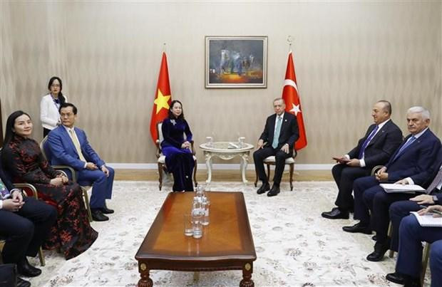 La vicepresidenta de Vietnam, Vo Thi Anh Xuan, en la reunión con el presidente turco, Recep Tayyip Erdogan. (Fotografía: VNA) La vicepresidenta de Vietnam, Vo Thi Anh Xuan, en la reunión con el presidente turco, Recep Tayyip Erdogan. (Fotografía: VNA)