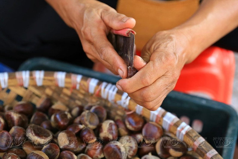 Pelar las castañas es el paso que lleva más tiempo porque debe hacerse totalmente a mano. Pelar las castañas es el paso que lleva más tiempo porque debe hacerse totalmente a mano.