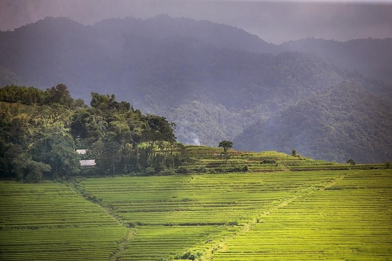 Hermosas terrazas de arroz en la comuna de Mien Doi, en el distrito de Lac Son, provincia de Hoa Binh. (Fotografía: VNA)