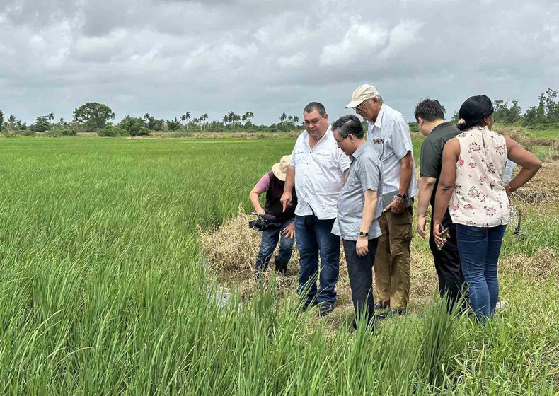 La delegación vietnamita visita una cooperativa en Pinar del Río. (Fotografía: baoquocte.vn) La delegación vietnamita visita una cooperativa en Pinar del Río. (Fotografía: baoquocte.vn)