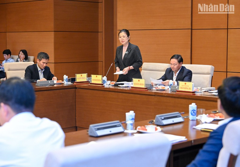 La vicepresidenta del Frente de la Patria de Vietnam Truong Thi Ngoc Anh.