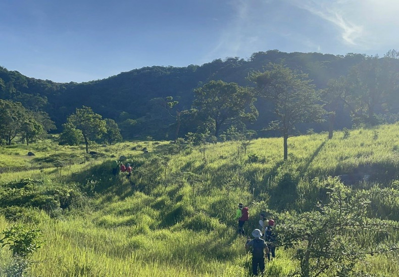 Turistas exploran el ecosistema forestal en el Parque Nacional de Nui Chua. Turistas exploran el ecosistema forestal en el Parque Nacional de Nui Chua.