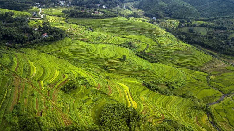 Los campos en terrazas de la comuna de Mien Doi son tan bellos como los famosos en las provincias de Lao Cai y Yen Bai.