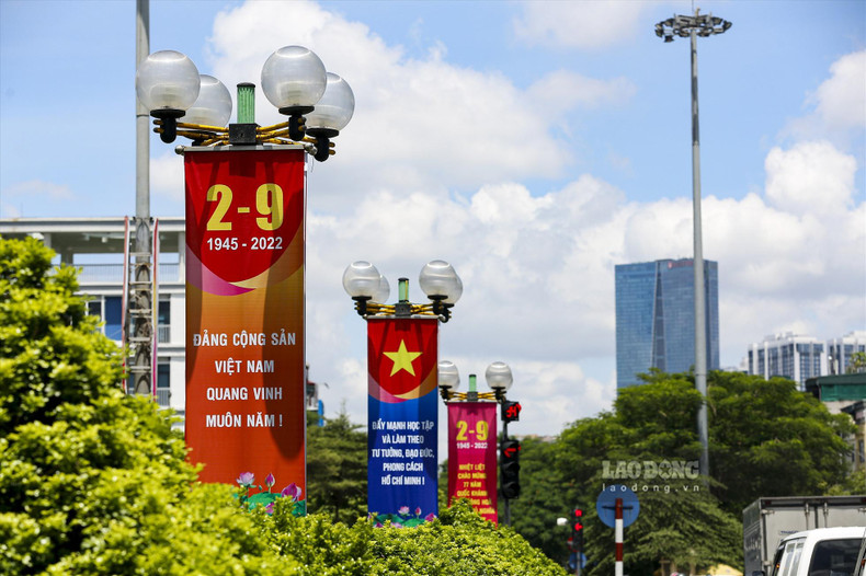 Colosales pancartas de dos lados instaladas en las zonas separadoras viales.