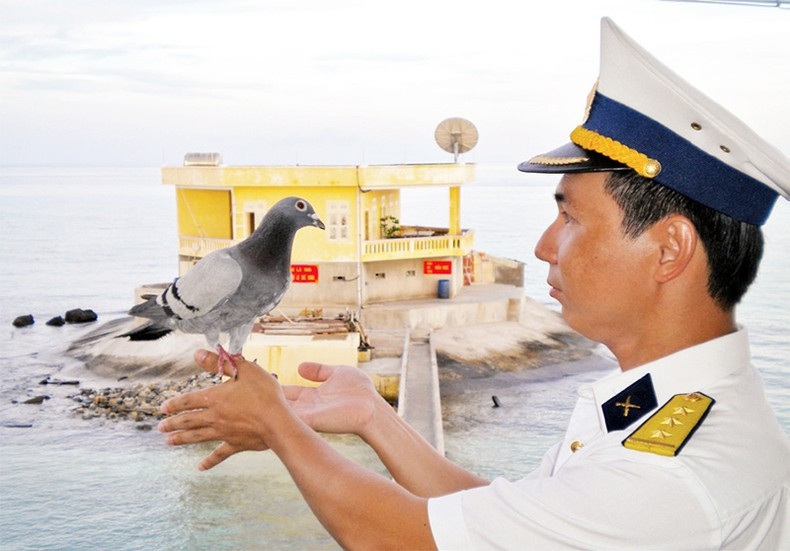 Un “amigo” de los oficiales en Truong Sa. Un “amigo” de los oficiales en Truong Sa.