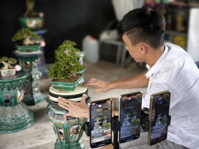 Además de vender productos agrícolas a través de canales tradicionales o cooperación empresarial, los agricultores de la provincia sureña de Ben Tre han aplicado recientemente el comercio electrónico para conectarse con el mercado, lo que les brinda ingresos mejores. Además de vender productos agrícolas a través de canales tradicionales o cooperación empresarial, los agricultores de la provincia sureña de Ben Tre han aplicado recientemente el comercio electrónico para conectarse con el mercado, lo que les brinda ingresos mejores.