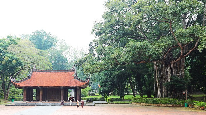 El baniano y el árbol “thi” (Diospyros decandra) en el recinto, ambos con más de 300 años. El baniano y el árbol “thi” (Diospyros decandra) en el recinto, ambos con más de 300 años.