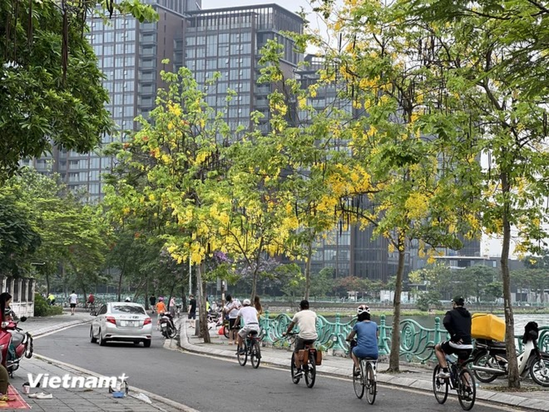 Las personas que andan en bicicleta y pasean por el lago pueden contemplar la belleza de las flores de esa especie. Las personas que andan en bicicleta y pasean por el lago pueden contemplar la belleza de las flores de esa especie.