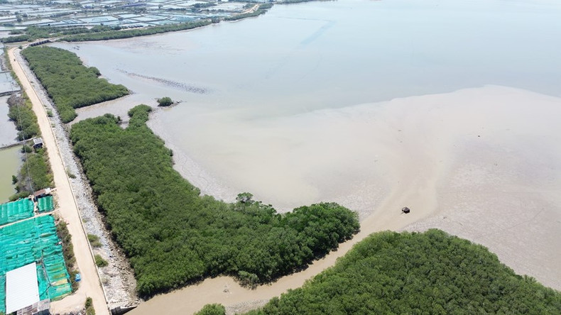 La laguna Nai (Ninh Hai, Ninh Thuan) fue "revivida" con exuberantes bosques de manglares verdes, contribuyendo a responder al cambio climático y preservando la biodiversidad. La laguna Nai (Ninh Hai, Ninh Thuan) fue "revivida" con exuberantes bosques de manglares verdes, contribuyendo a responder al cambio climático y preservando la biodiversidad.