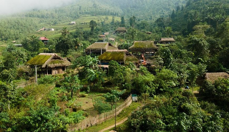 El clima fresco durante todo el año crea condiciones favorables para que las plantas crezcan y prosperen, especialmente el musgo verde en los techos húmedos de hojas de palma de las casas sobre pilotes. El clima fresco durante todo el año crea condiciones favorables para que las plantas crezcan y prosperen, especialmente el musgo verde en los techos húmedos de hojas de palma de las casas sobre pilotes.