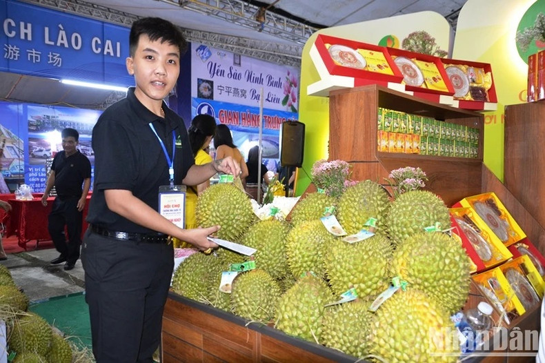 El durián de la Altiplanicie Central de Vietnam es una fruta preferida de los chinos. El durián de la Altiplanicie Central de Vietnam es una fruta preferida de los chinos.