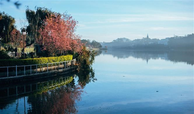 Erigido en 1919, el Lago Xuan Huong fue llamado Grand Lac en aquel tiempo y para 1953 cambió al nombre de Xuan Huong, el cual no solo refleja la belleza poética de esa laguna, sino que también recuerda a la poeta Ho Xuan Huong. Erigido en 1919, el Lago Xuan Huong fue llamado Grand Lac en aquel tiempo y para 1953 cambió al nombre de Xuan Huong, el cual no solo refleja la belleza poética de esa laguna, sino que también recuerda a la poeta Ho Xuan Huong.
