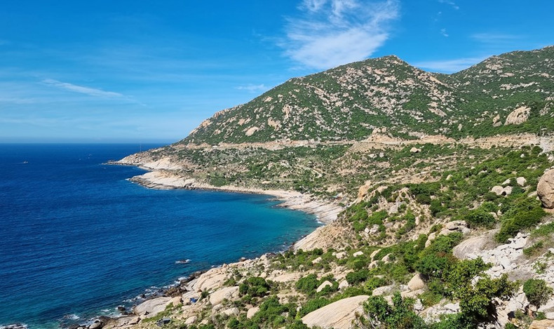 El bosque de protección costera de Thuan Nam (Thuan Nam, Ninh Thuan) crea un escudo para reducir los desastres naturales y hacer frente al cambio climático.