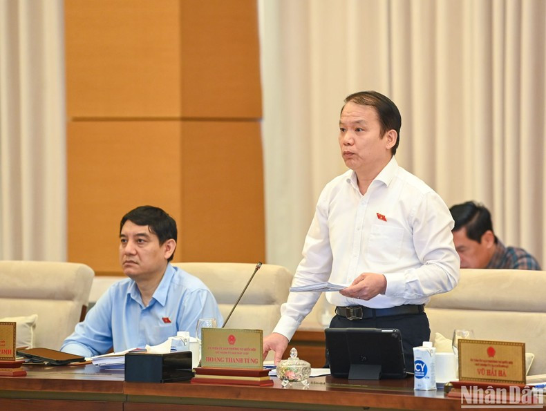 El jefe de la Comisión de Asuntos Legales del Parlamento, Hoang Thanh Tung.