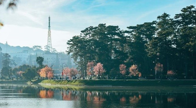 El Lago Xuan Huong, el corazón de Da Lat, es un paisaje famoso que atrae a turistas nacionales y extranjeros por su belleza suave y romántica.