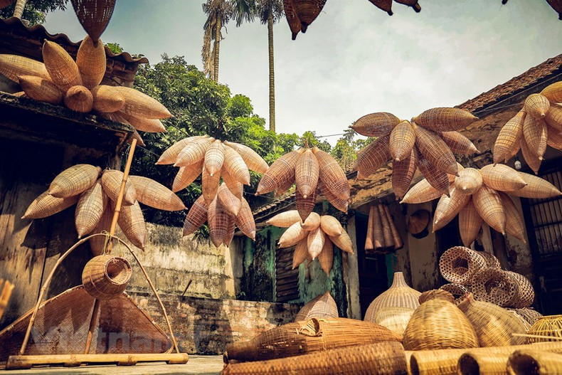 Además de las actividades agrícolas, los campesinos locales han inventado muchos tipos de herramientas para capturar peces y camarones. Se trata de un instrumento tradicional de muchos agricultores en las provincias deltaicas del Norte. Además de las actividades agrícolas, los campesinos locales han inventado muchos tipos de herramientas para capturar peces y camarones. Se trata de un instrumento tradicional de muchos agricultores en las provincias deltaicas del Norte.