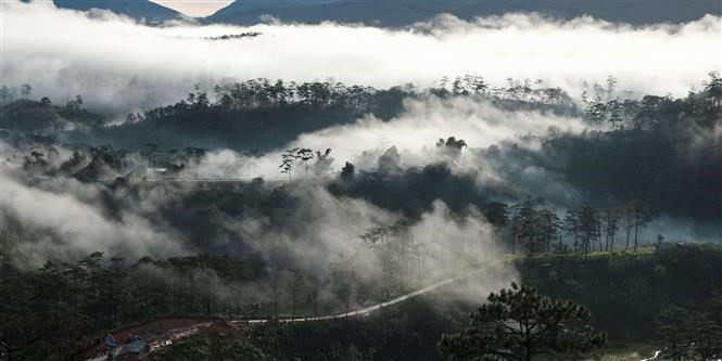 Da Lat está rodeada de bosques cubiertos de nubes y también se ha convertido en los últimos años en un producto turístico para la "caza de nubes" muy atractivo para los visitantes. Da Lat está rodeada de bosques cubiertos de nubes y también se ha convertido en los últimos años en un producto turístico para la "caza de nubes" muy atractivo para los visitantes.