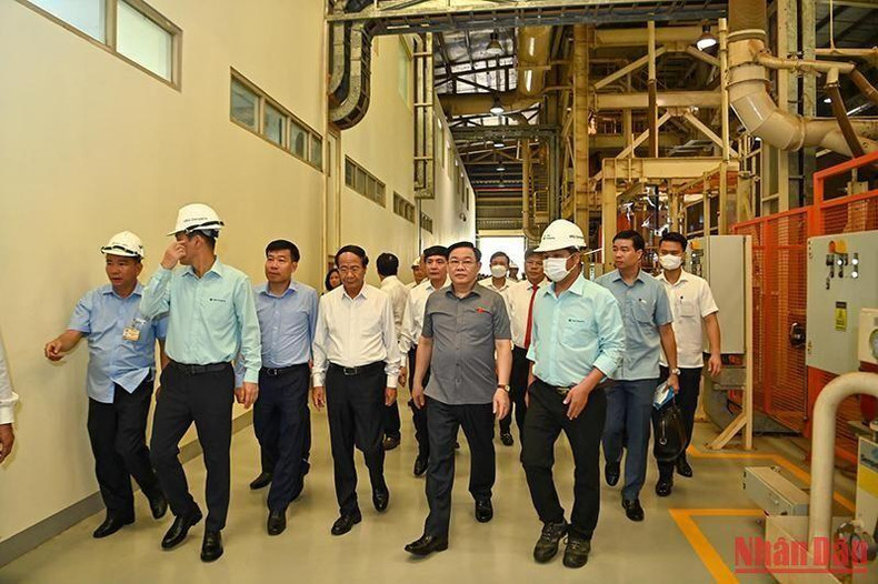 El mismo día, Dinh Hue recorre la fábrica local de madera MDF de DongWha.