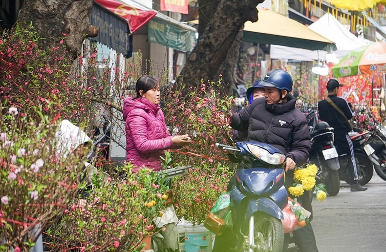 La gente compra plantas ornamentales en ocasión del Tet.