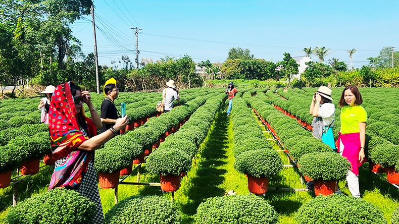 Cho Lach recibe a turistas y fotógrafos cada vez que llega dicha festividad.