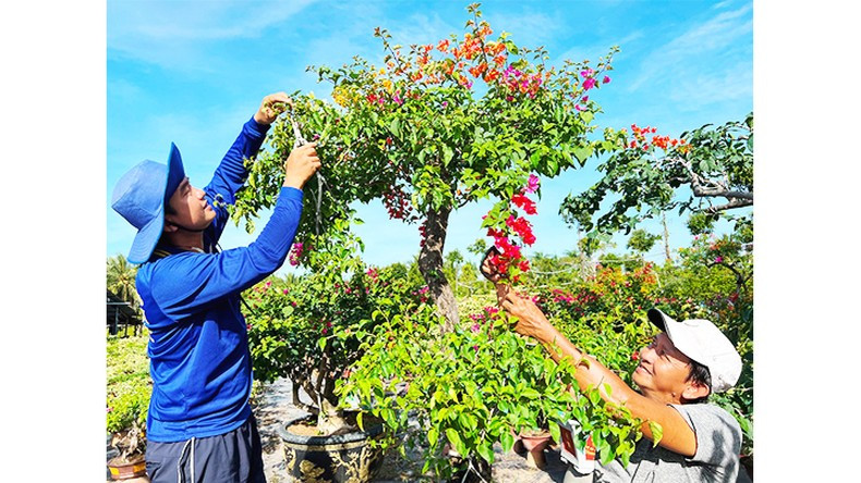 Son altas las expectativas sobre un buen tiempo climático.