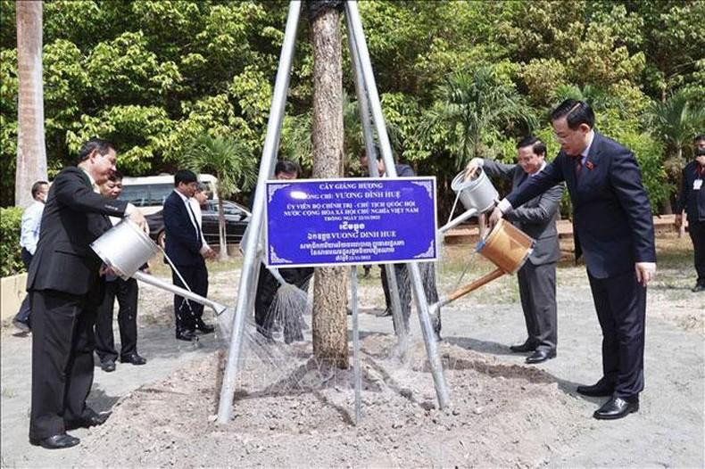 Dinh Hue planta un árbol de recuerdo en la finca.