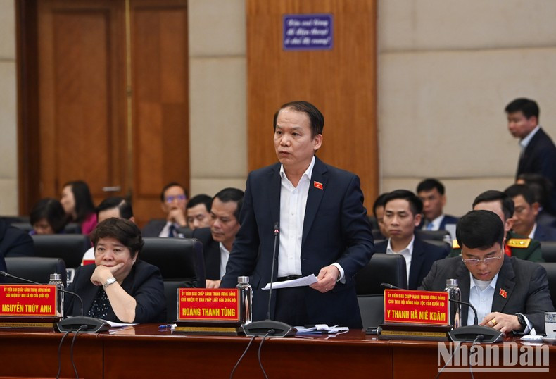 El jefe de la Comisión de Asuntos Legales de la AN, Hoang Thanh Tung.