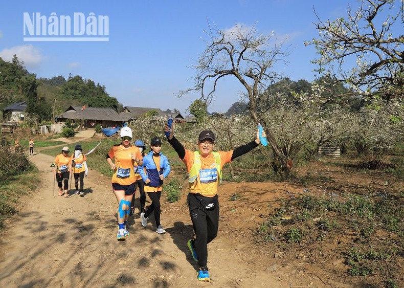 Los circuitos atraviesan aldeas de la etnia autóctona H’Mong y florecientes ciruelos en sus alrededores. Los circuitos atraviesan aldeas de la etnia autóctona H’Mong y florecientes ciruelos en sus alrededores.