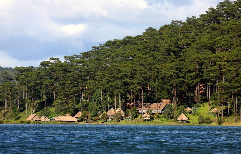 Con una extensión de más de 350 hectáreas y ubicado entre verdes pinares y una rica vegetación, el lago Tuyen Lam es el destino de muchos turistas. Con una extensión de más de 350 hectáreas y ubicado entre verdes pinares y una rica vegetación, el lago Tuyen Lam es el destino de muchos turistas.