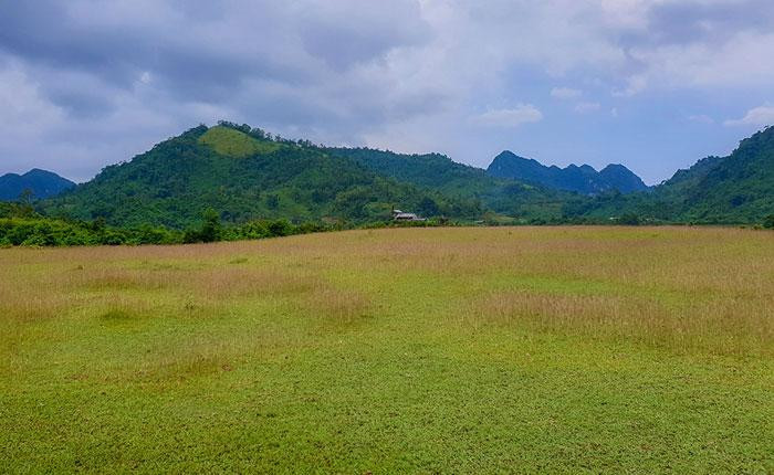 Las praderas, llanas y espaciosas, son adecuadas para las actividades recreativas al aire libre a fines de semana, como hacer campamento.