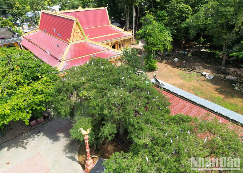 Sobresale no solo por su hermosura añejada por el tiempo, sino también por las numerosas especies de aves que anidan en su recinto y las obras de bellas artes creadas por sus monjes.