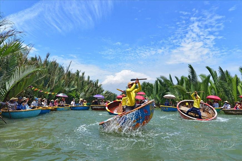 Atractivo recorrido para explorar el bosque de coco acuático de Cam Thanh, ciudad de Hoi An.