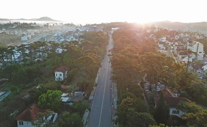 Da Lat es conocida como el paraíso de los sueños, el amor, los festivales y las flores. En esa metrópolis se han realizado numerosas películas de amor y románticas. Da Lat es conocida como el paraíso de los sueños, el amor, los festivales y las flores. En esa metrópolis se han realizado numerosas películas de amor y románticas.