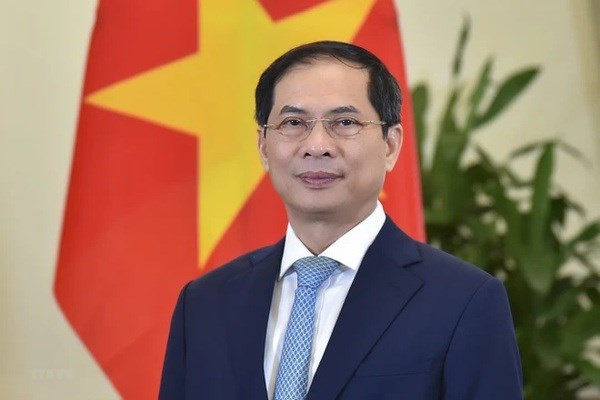 El canciller vietnamita, Bui Thanh Son (Foto: VNA)